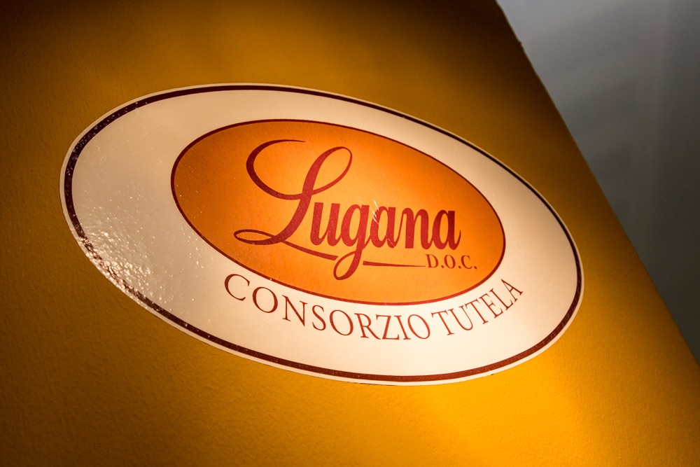 Il miracolo del Lugana: là dove c'era una palude oggi nasce un gran vino
