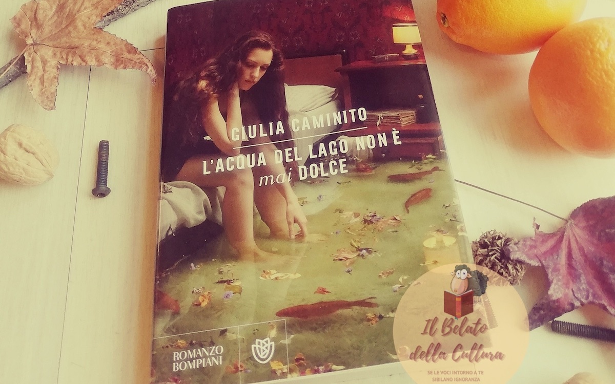 Can the net harness a bunch of volunteers to help bring books in the public domain to life through podcasting? L'acqua Del Lago Non È Mai Dolce Copertina - L Acqua Del Lago Non E Mai Dolce Giulia Caminito Candidata Allo Strega