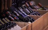Tannico: l'enoteca online che ha rivoluzionato il mondo del vino