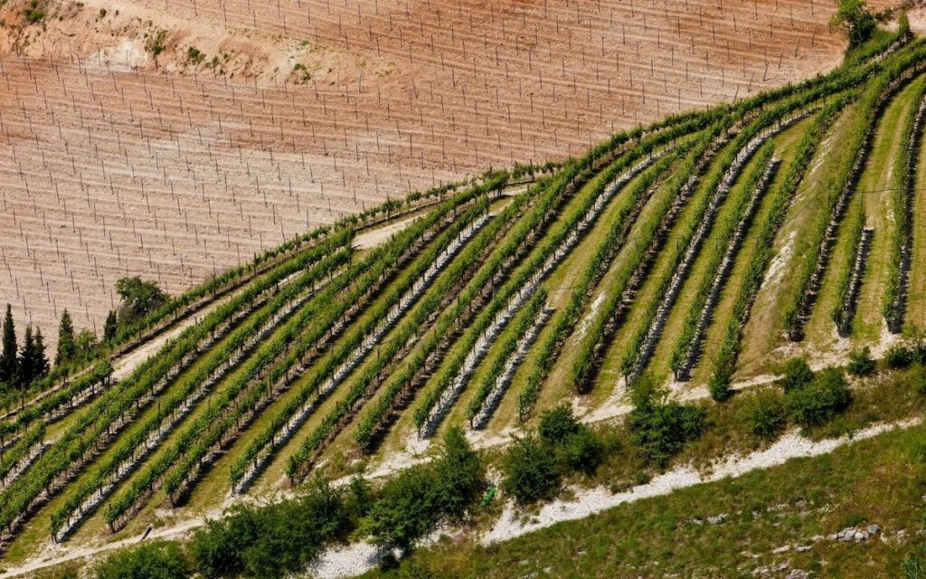 la valpolicella